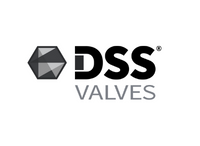 DSS